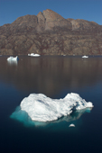 Iceberg floating in Fhn Fiord. East Greenland. 2005