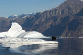 Tourist zodiac cruises amongst icebergs in Fhn Fiord, backed by the 2100m peaks of Milne Land. East Greenland. 2005