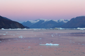 Small Icebergs at dawn in Fhn Fiord. Scoresbysund Fiord. East Greenland. 2005