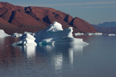 Icebergs float with the Hematite rich red slopes of Rde Fiord behind them. East Greenland. 2005