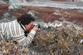 Tour Guide Nette lays down her rifle to photograph seeding Arctic willow. Rypefjord. East Greenland. 2005