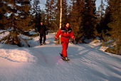 Couple snowshoe trip in the forest at sunset. Lulea. Sweden. 2003