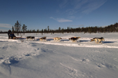 Dogsledding across one of the small lakes near Jukkasjarvi. Sweden. 2003