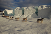 Dogsled in front of the Ice hotel at Jukkasjarvi. Sweden. 2003