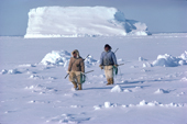 Inuit hunters, on sea ice, carry guns and harpoons in search of Walrus to hunt. Northwest Greenland. 1980
