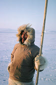 Ajako Henson, rests on his harpoon while out walrus hunting in the Spring near Moriussaq. Northwest Greenland. (1980)