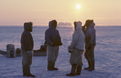 Inuit hunters out on frozen sea, near Moriussaq. Northwest Greenland. 1980