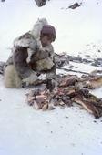 Qaavigannguaq, an Inuit hunter, chops up frozen walrus meat to feed to his dogs on a hunting trip. N. W. Greenland. 1980