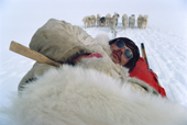 Inuit hunter, Jens Danielsen, relaxes on his sled during a Spring journey by dog sled. Thule, Northwest Greenland. 1980