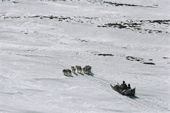 An Inuit family travelling by dog sled in the Spring near Narssaarssuk, Thule, Northwest Greenland. 1980