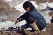 Inuit woman, Birgethe Danielsen, with Little Auks which have been caught in a net. Northwest Greenland. 1980