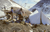 Inuit Spring camp at a little auk colony south of Cape Atholl. Northwest Greenland. 1980