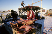 Inuit hunters handle frozen muktuk (whale skin) to store on meat rack. Northwest Greenland. 1987