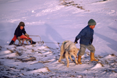 Inuit boys using a husky to pull a toboggan Moriussaq. N.W. Greenland. 1987