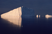 Icebergs reflecting in the summer seas of the coast of Northwest Greenland. 1987
