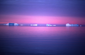 Line of icebergs on the horizon drifting in calm water as the sun sets behind them. NW Greenland. 1987