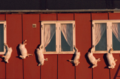 An Inuit home with arctic hares hanging outside to keep them cold. Moriussaq. Northwest Greenland. 1987