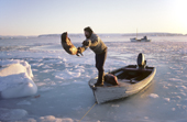 An Inuit hunter unloads a seal from his boat, following a hunting trip. Northwest Greenland. 1987