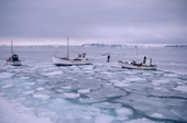 Inuit hunter walks round his boat on new sea ice at freeze-up. Moriussaq. NW Greenland. 1987