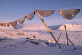 Sealskins dry in the frost in the last few days before the sun sets for the polar night. NW Greenland. 1987