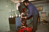 Inuit hunter, Ituko, cuts up walrus meat to feed to his huskies. Moriussaq, Northwest Greenland. (1987)