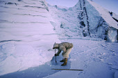 Ituko, an Inuit hunter, setting a seal net under the sea ice close to an iceberg near Moriussaq. Northwest Greenland. (1987)