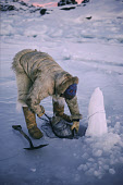 Ituko, inuit hunter, with a ringed seal he has caught in a net under the sea ice near Moriussaq. Northwest Greenland. (1987)