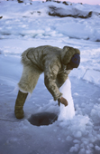 Inuit hunter, Ituko, uses a net for seal hunting under the ice. Northwest Greenland. 1987