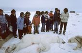 Inuit villagers gather around a dead Polar Bear which has been shot on a hunting trip. Northwest Greenland. 1987