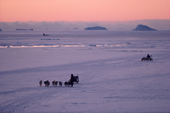 Inuit hunters return to their village by dog sled at sunset. N.W. Greenland. 1987
