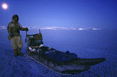Ituko, an Inuit hunter travelling by dog sled to hunt seals during the polar night in November near Moriussaq. Northwest Greenland. (1987)
