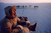 Ituko, an Inuit hunter, travelling by dog sled on newly formed sea ice in the autumn near Moriussaq. Northwest Greenland. (1987)