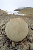 One of the remarkable spherical stones on Champ Island. Franz Josef Land, Russia. 2004