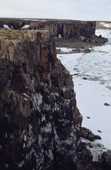 Bird cliffs on the rocky coast of Wilczek Island. Franz Josef Land, Russia. 2004