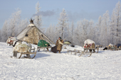 Raisa Serotetto, a Nenets woman, at her family's winter camp on the edge of a forest. Yamal, NW Siberia, Russia