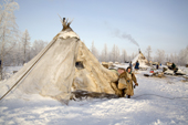 On a fine day, members of the Serotetto family work outside at their winter camp on the edge of a forest. Yamal, NW Siberia, Russia