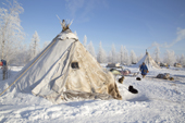 Leova Serotetto, a Nenets reindeer herder, walks back to his tent at his family's winter camp. Yamal, NW Siberia, Russia