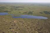 Aerial view of a lake and tundra ponds in the north of the Gydan Peninsula. Yamal, Northwest Siberia, Russia