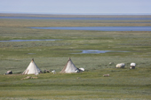 A Nenets fishermen's camp on the tundra by the Yuribey River. Gyda, Tazovsky Region, Gydan Peninsula, Yamal, Russia