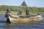 Nenets fishermen moving wood by boat along the Yuribey River. Gyda, Tazovsky region,Gydan Peninsula, Yamal, Siberia