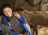 A tame orphaned reindeer calf nuzzles against the neck of Anastasia Yando, a young Nenets girl, inside a reindeer herder's tent. Gyda, Tazovsky region, Yamal, Siberia, Russia
