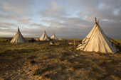 A Nenets reindeer herders camp in evening sunlight at Cup Lake. Gyda, Tazovsky region, Yamal, Siberia, Russia