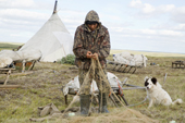 Valery, a Nenets reindeer herder, repairing one of his fishing nets near his tent at Cup Lake. Gyda, Tazovsky region, Yamal, Siberia, Russia