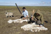 Kirill Yando (left) & Daniel Yaptunay, Nenets reindeer herders, place pale reindeer skins on the ground close to their herd. The pale skins attract warble flies which they then kill when they land on the fur. Warble flies are a major parasite of reindeer. Gyda, Tazovsky region, Yamal, Siberia, Russia