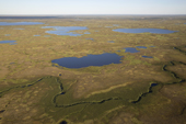 Aerial view of tundra in the Tazovsky region of the Gydan Peninsula. Yamal, Siberia, Russia