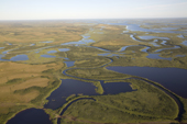 Aerial view of tundra & lakes near Tazovskyaya Bay in the Gydan Peninsula. Yamal, Siberia, Russia