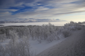 Winter landscape. Kiruna, Lapland, Sweden.