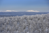 Winter landscape. Jukkasjarvi, Lapland, Sweden.