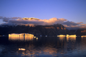 Icebergs bathed by autumn evening light, Island Fiord, East Greenland