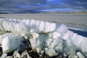 Candle ice piled along the shoreline by the wind, Lake Hazen, Ellesmere Island, Nunavut, Arctic Canada
